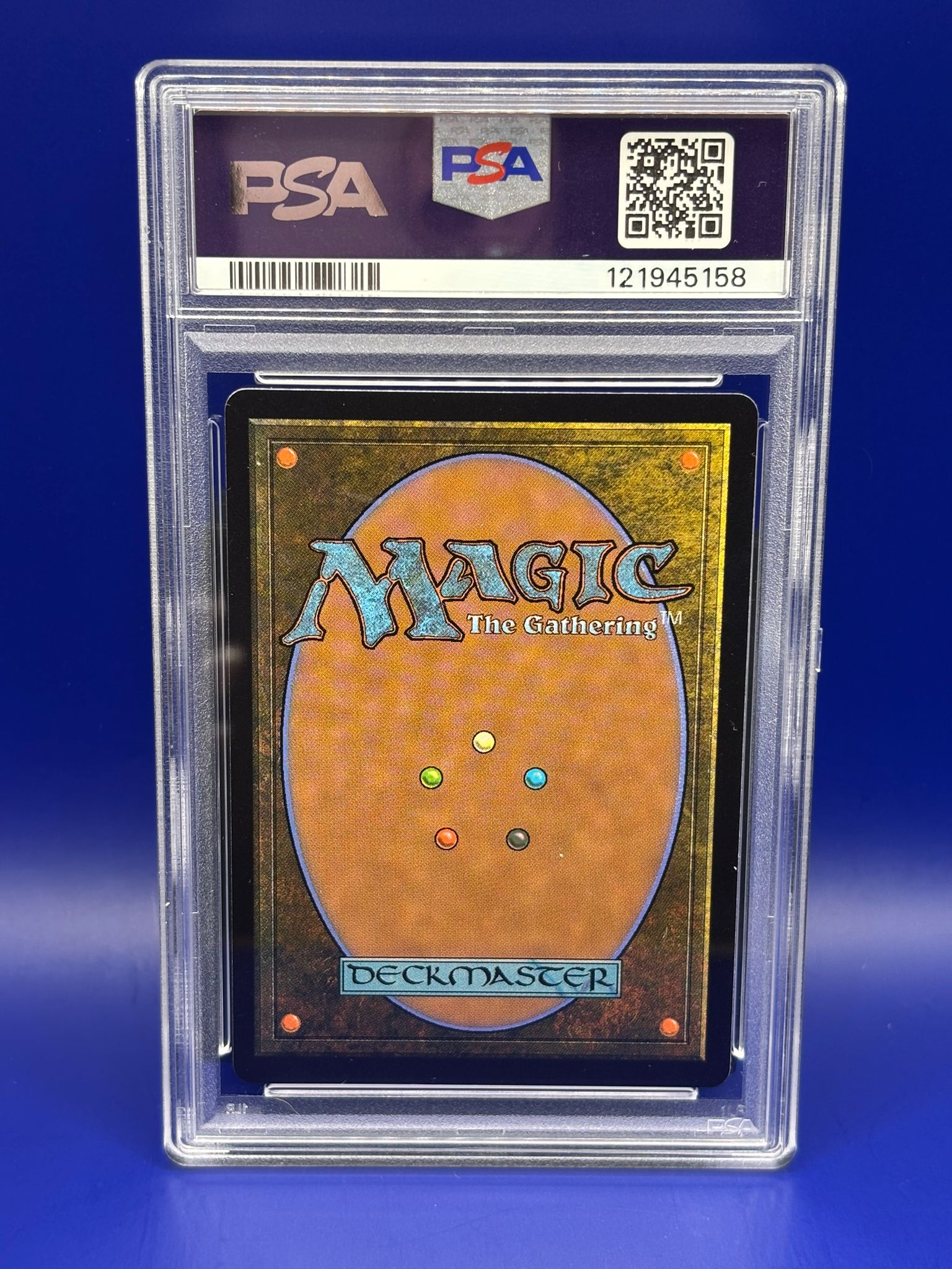 Agonasaur Rex – Bild 2